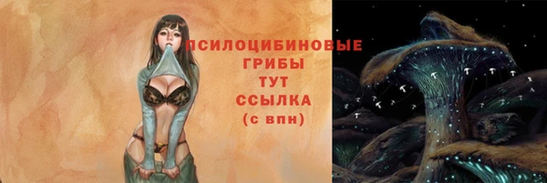 гидра Балахна