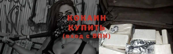 ГАЛЛЮЦИНОГЕННЫЕ ГРИБЫ Баксан